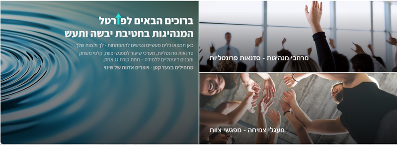 תוכנית מנהיגות ארגונית — תפיסת התוכנית